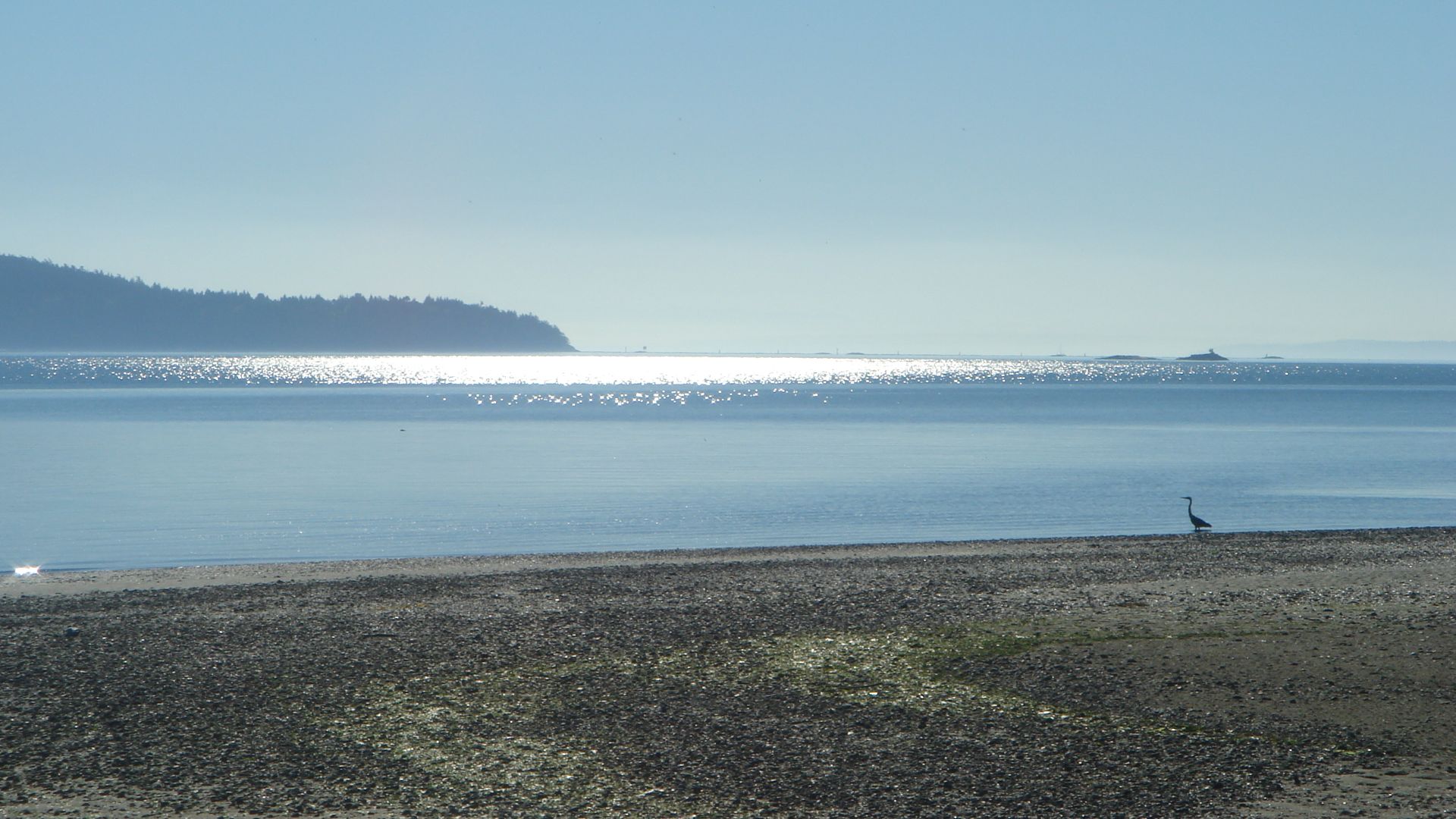 File:Whidbey Island (Washington State, USA).jpg