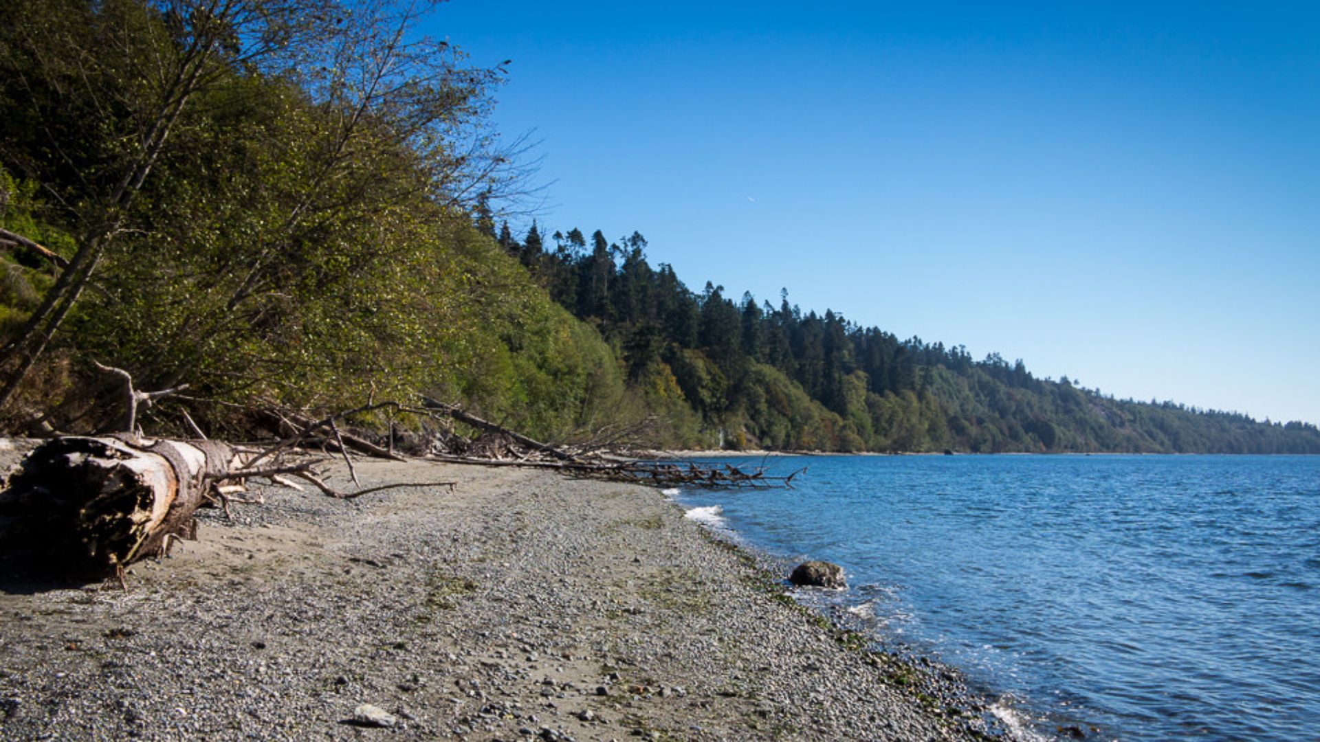 File:South Whidbey State Park, Whidbey Island, WA (15254173598).jpg