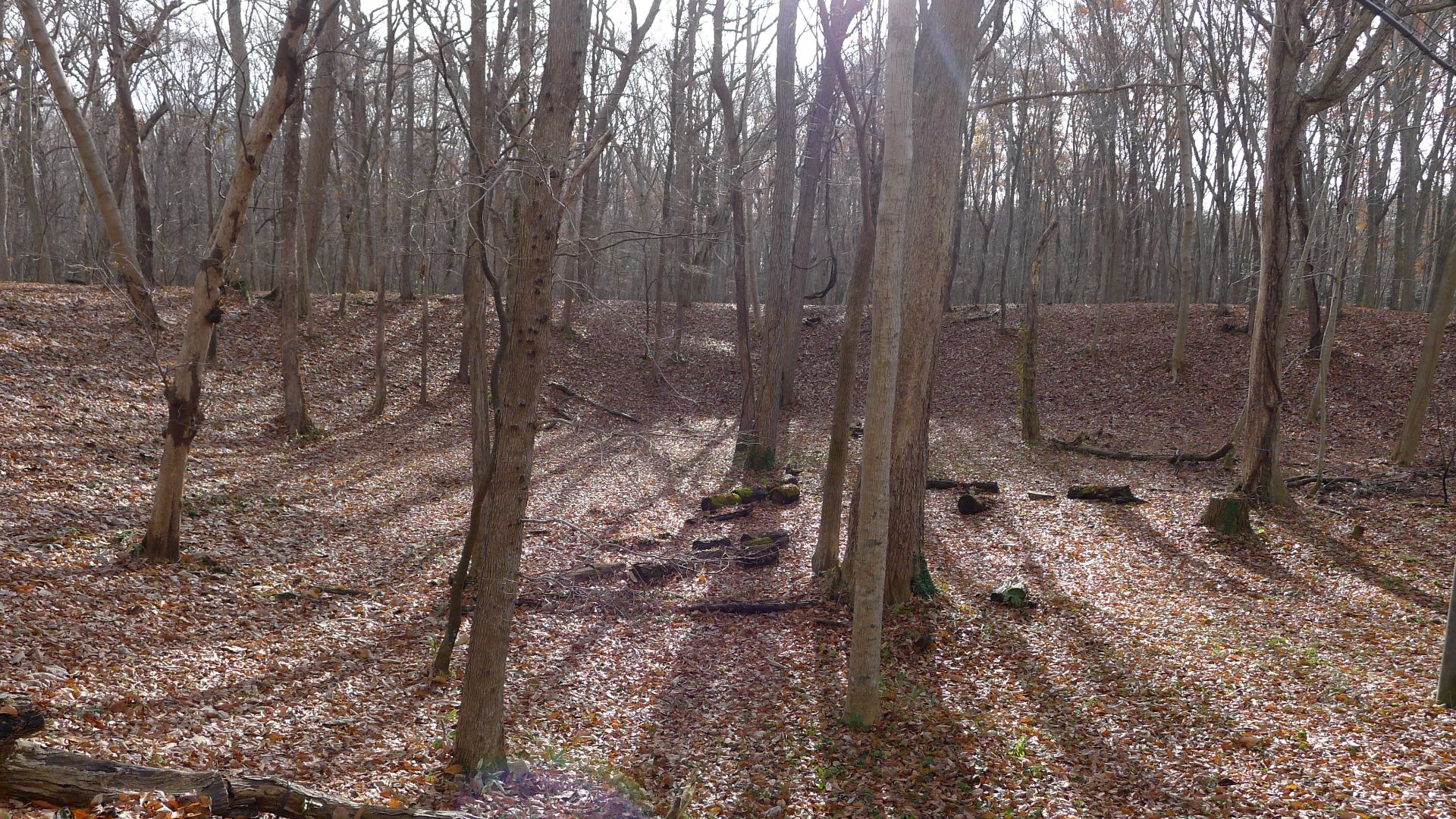 File:キウス周堤墓群 11.jpg