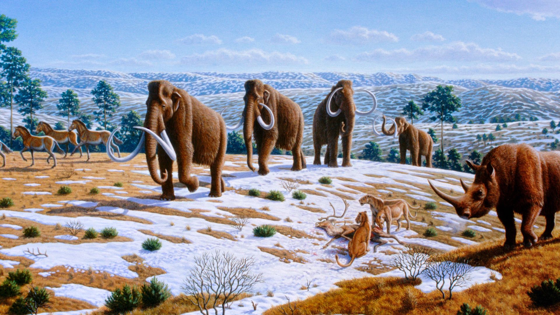 File:Ice age fauna of northern Spain - Mauricio Antón.jpg