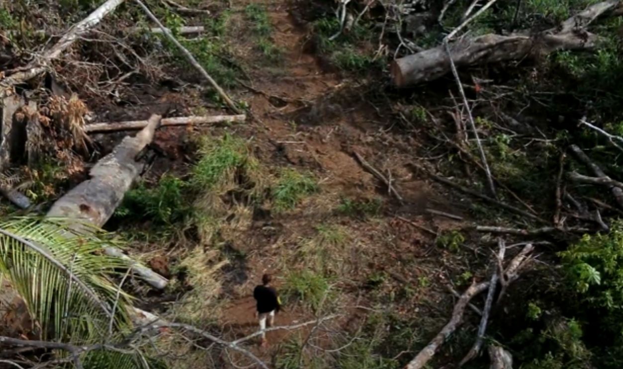 A History of Violence