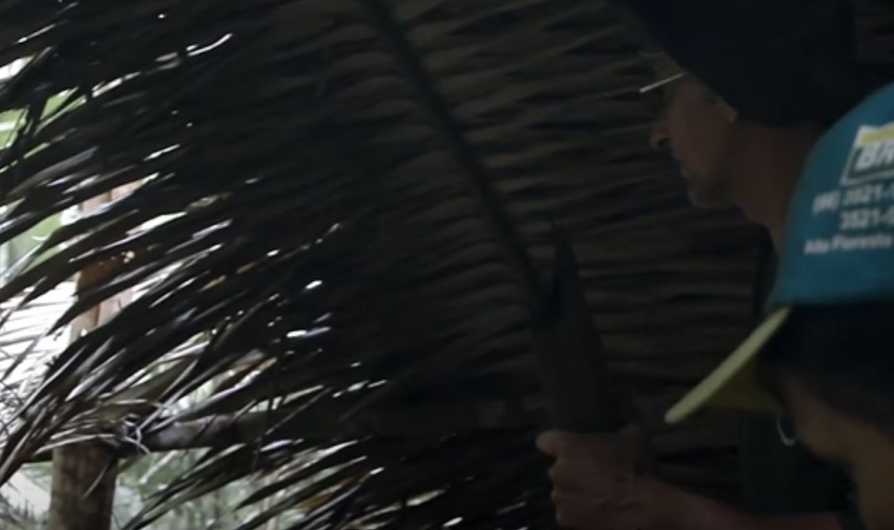 Documented, But Never Disturbed