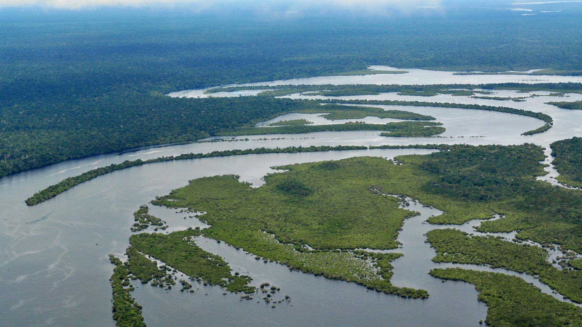 File:Amazon17 (5641020319).jpg