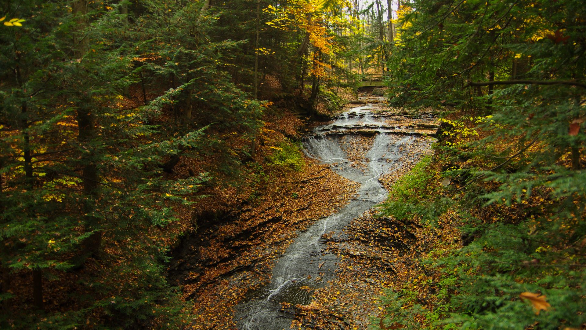 File:Cuyahoga Valley National Park 20.jpg