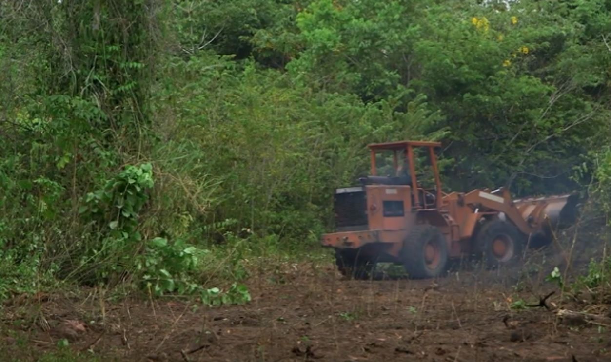 Hunted in Their Own Homeland