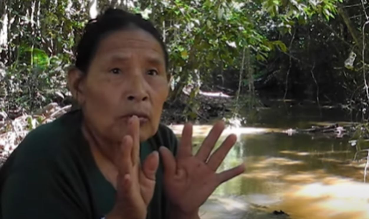 A Language Nearly Lost