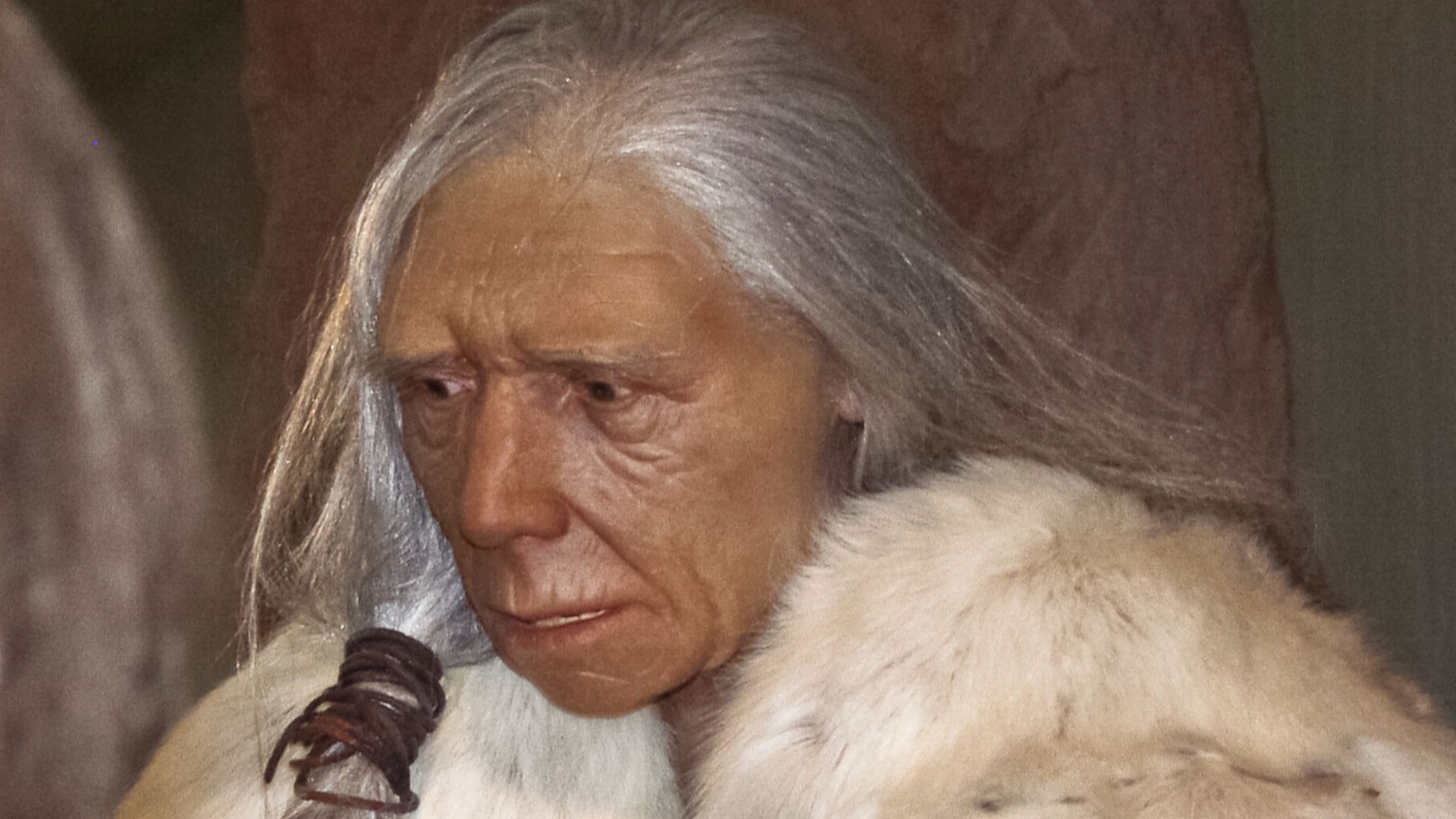 File:Old Neanderthal woman figure.jpg