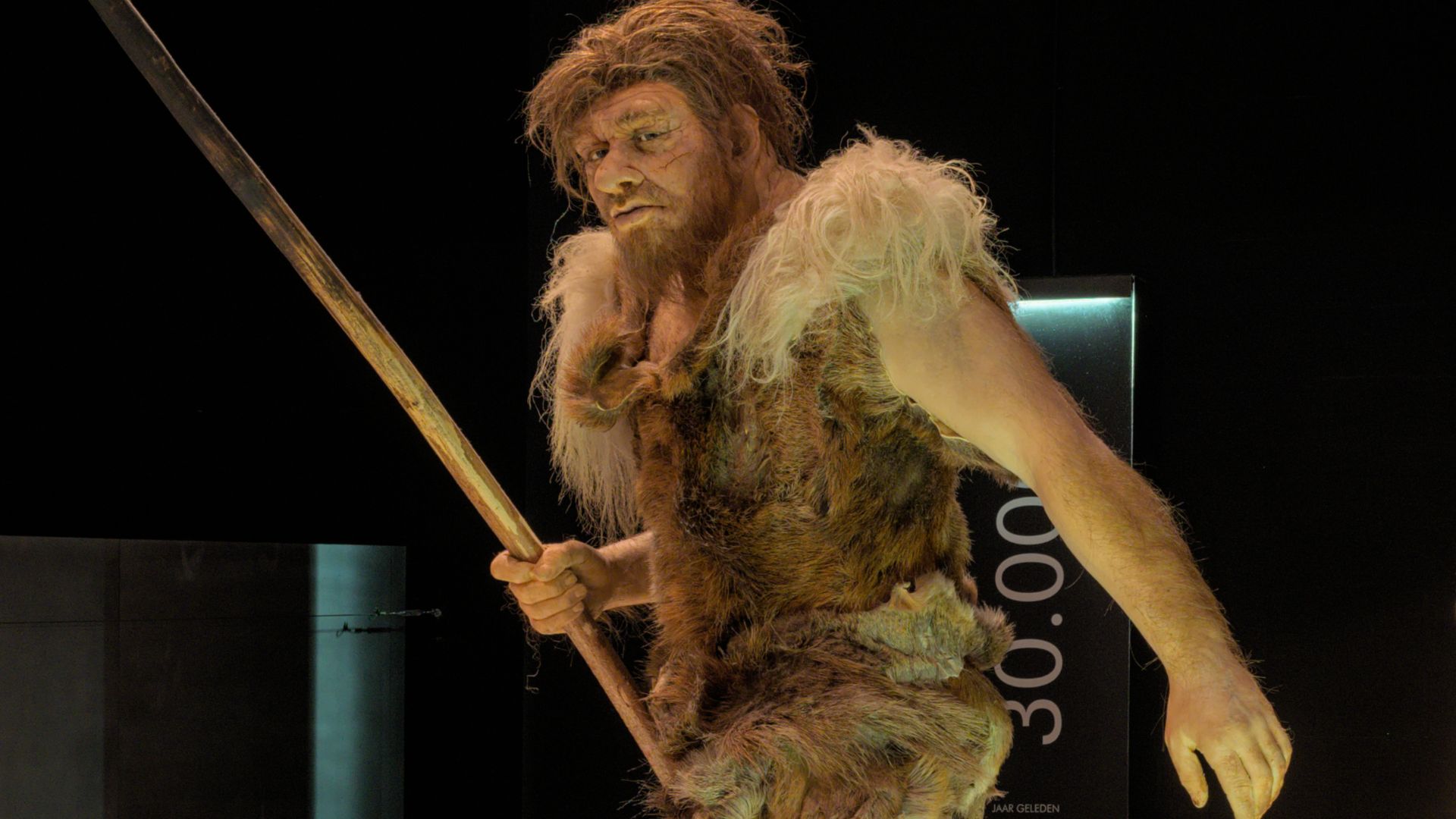 File:Neanderthal hunters depicted in the Gallo-Romeins Museum Tongeren (DSCF4334).jpg