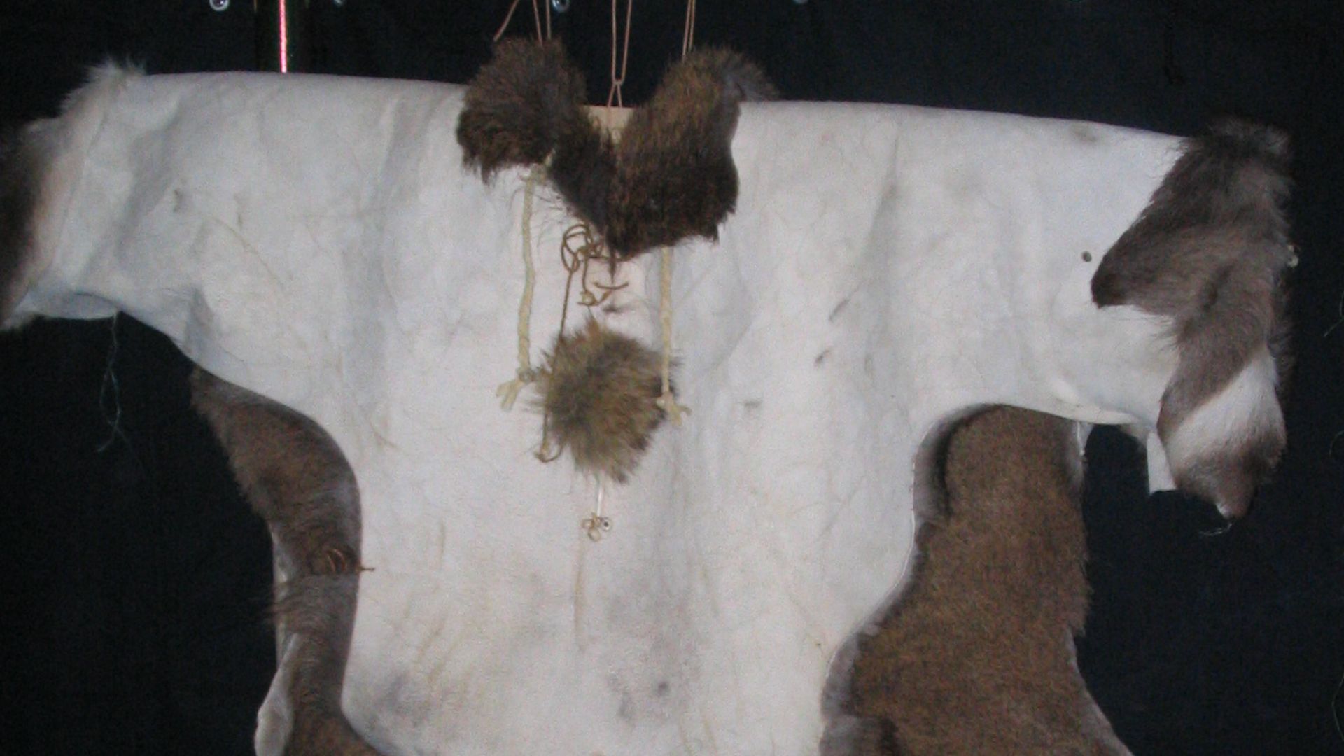 File:Pelze und Felle im Neandertalmuseum - (40).jpg