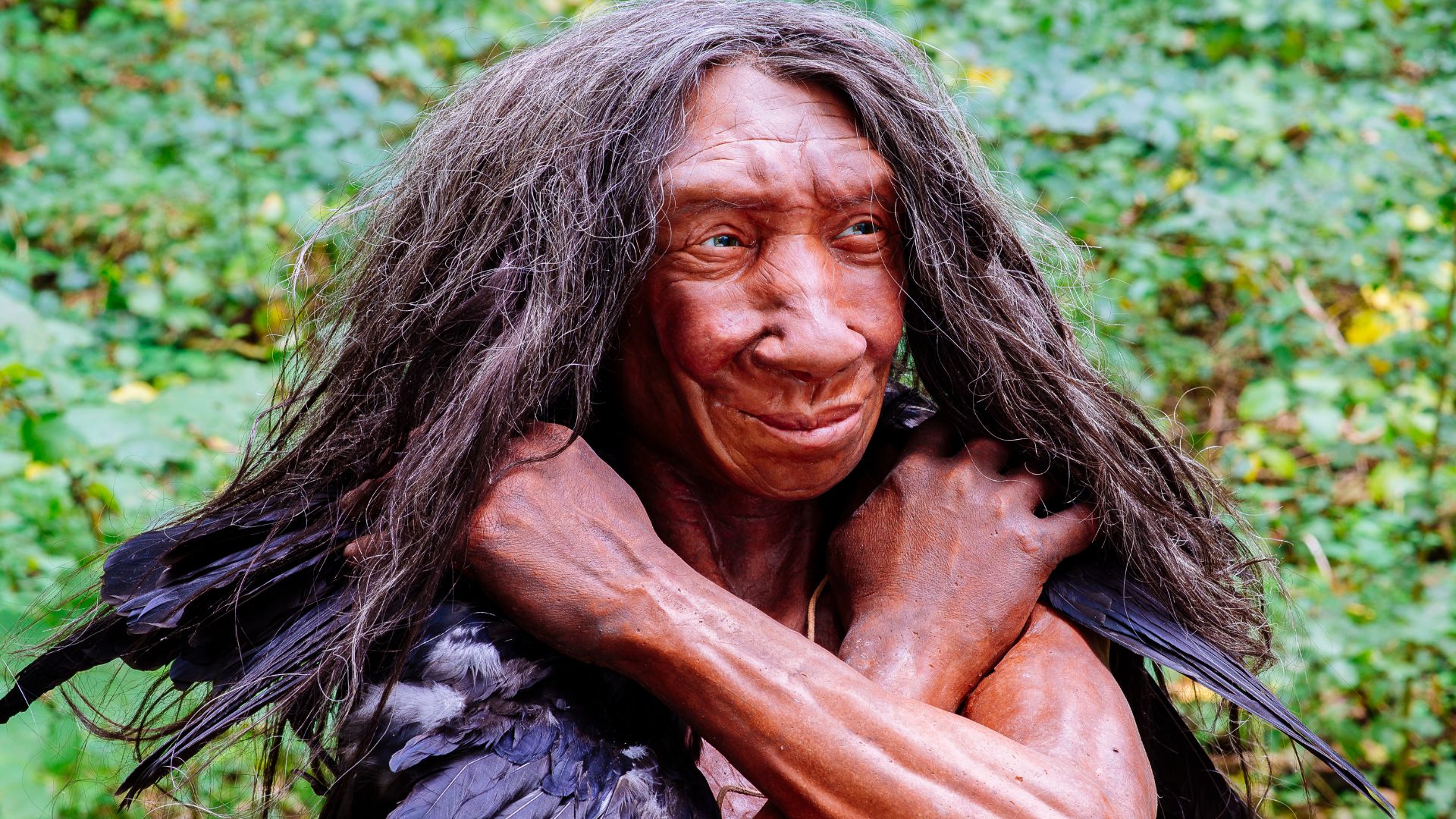 File:Homo sapiens neanderthalensis (Fundort Gibraltar).jpg