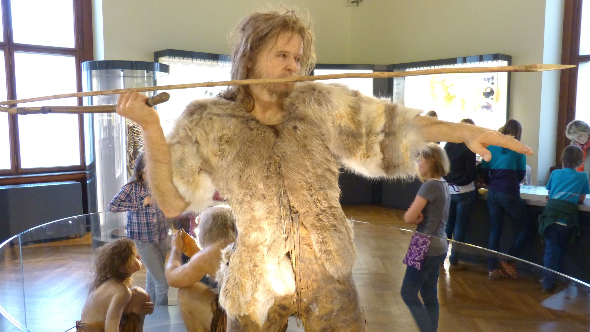 File:NHM - Homo sapiens Modell 1.jpg