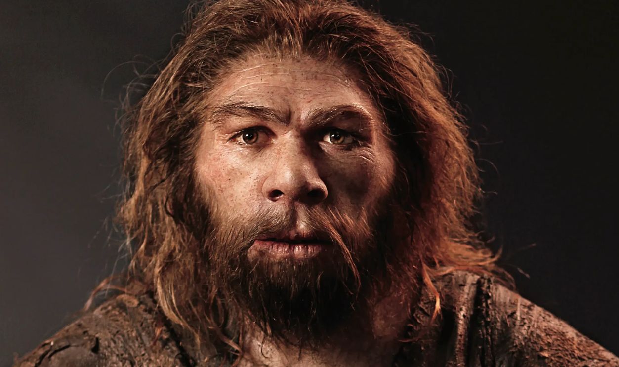 A Neanderthal