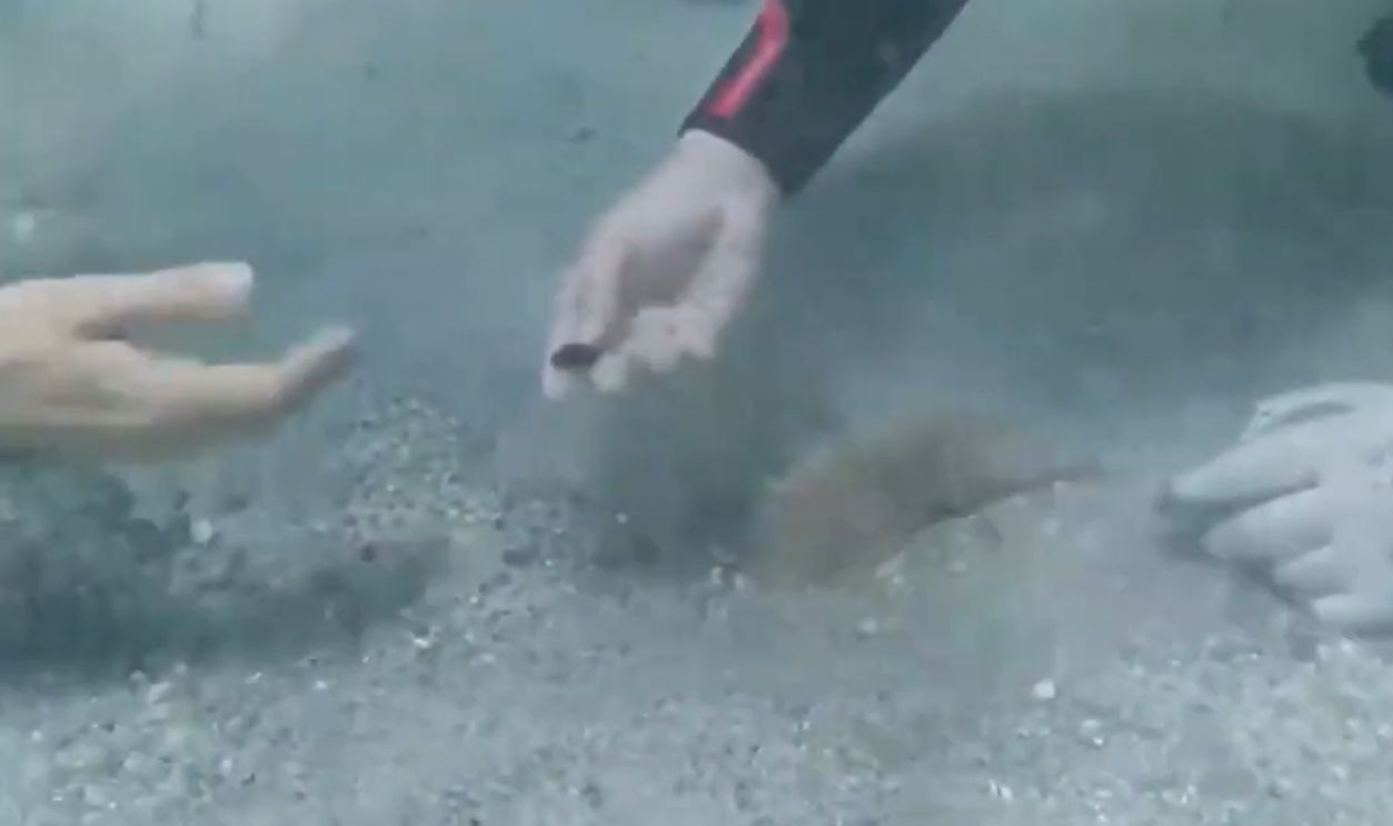 Theories Behind The Hoard