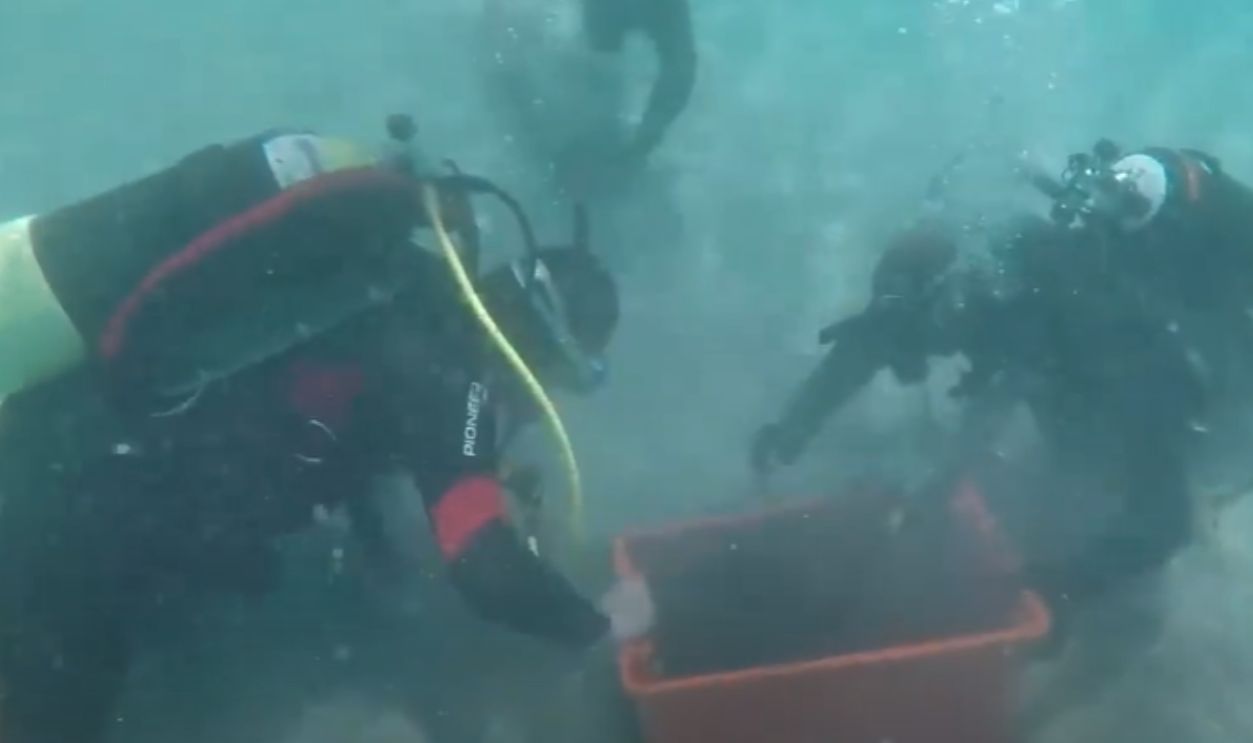 Global Fascination With Treasure Finds