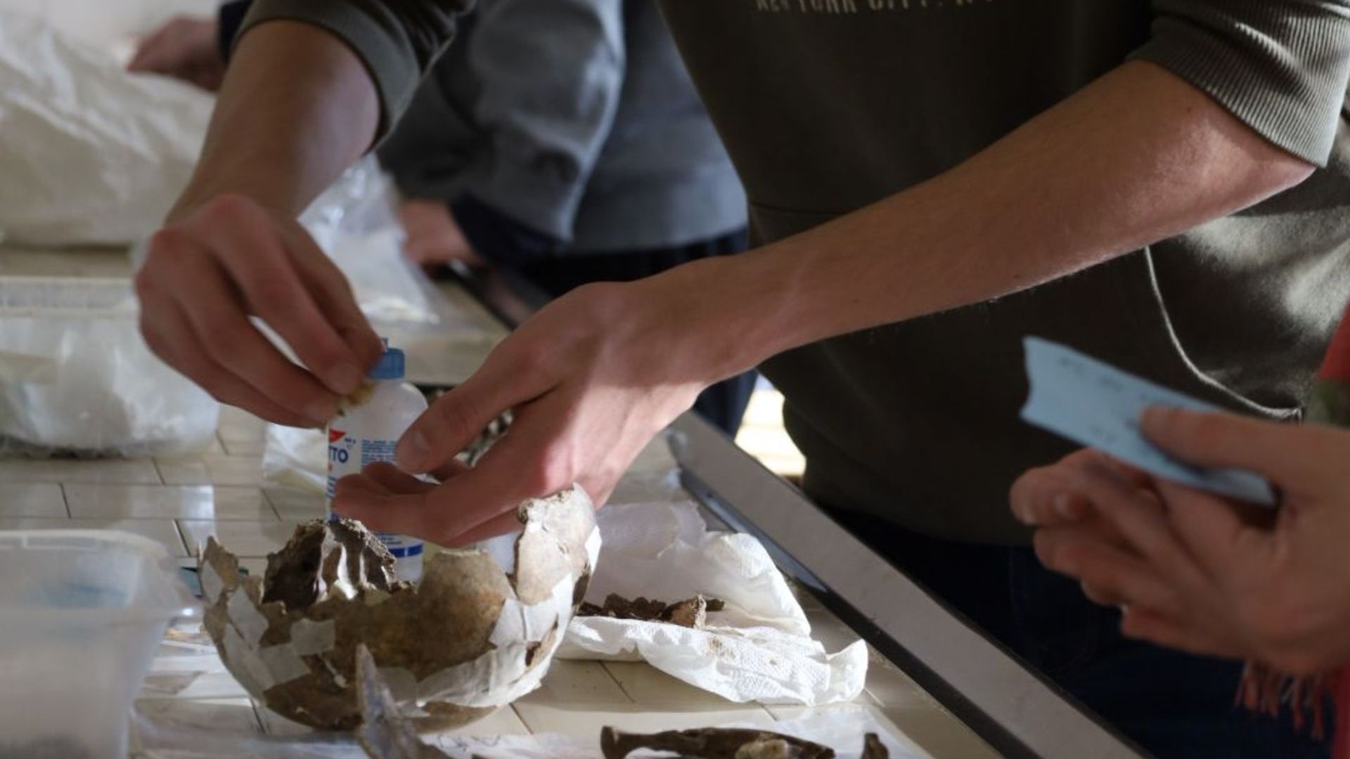 File:Bioarchaeology Laboratory, picture made by a friend.jpg