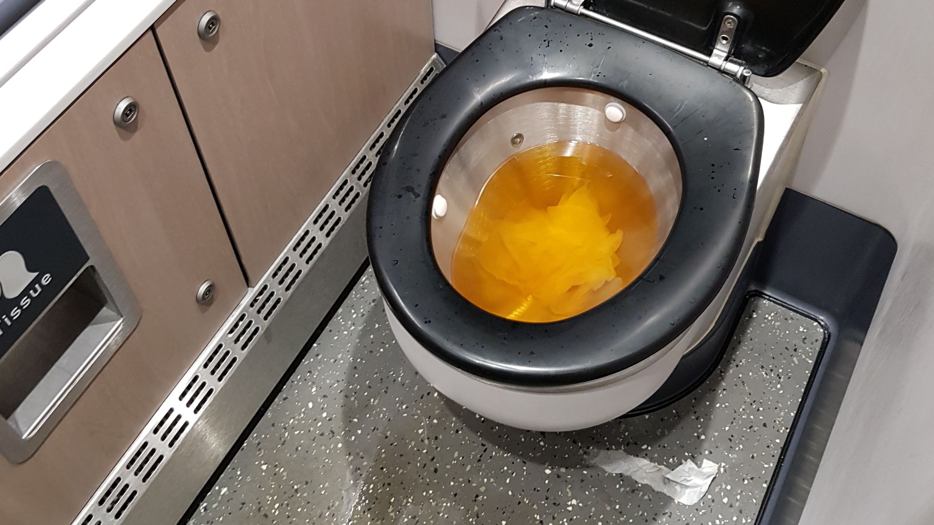 File:Blocked toilet on LNER Azuma.jpg