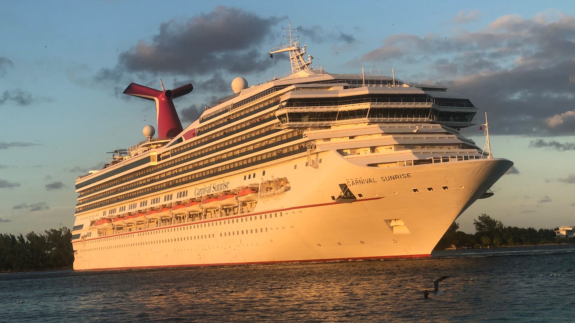 File:Carnival Sunrise Cruise.jpg