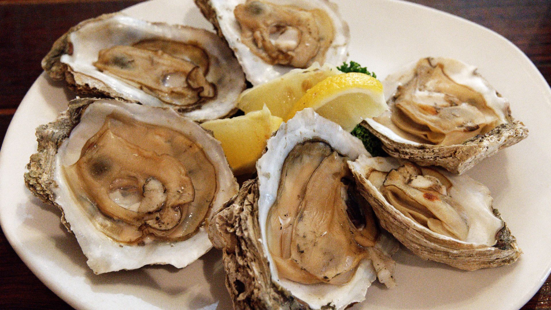 File:Six steamed oysters on the half shell.jpg