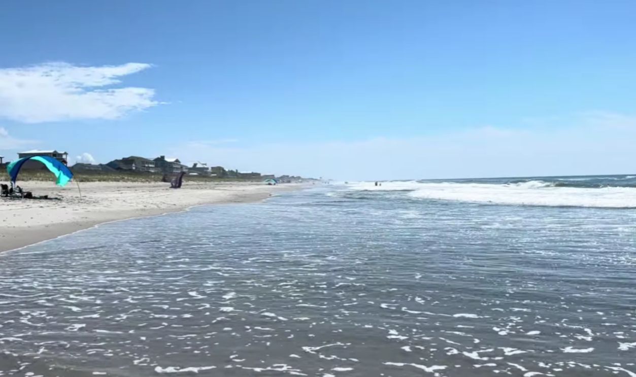 When Is The Best Time To Plan Your Visit?