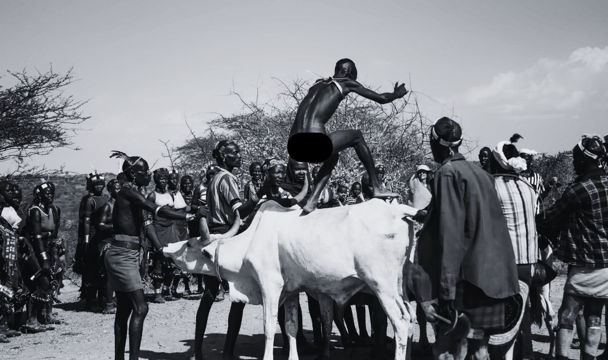 Bull Jumping Ceremony Of The Hamer Tribe