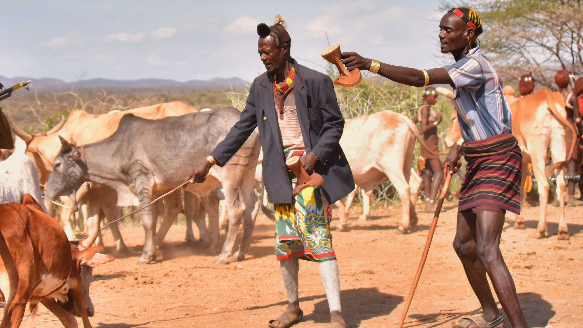 File:Wrangling, Hamer Tribe, Ethiopia (21670566286).jpg