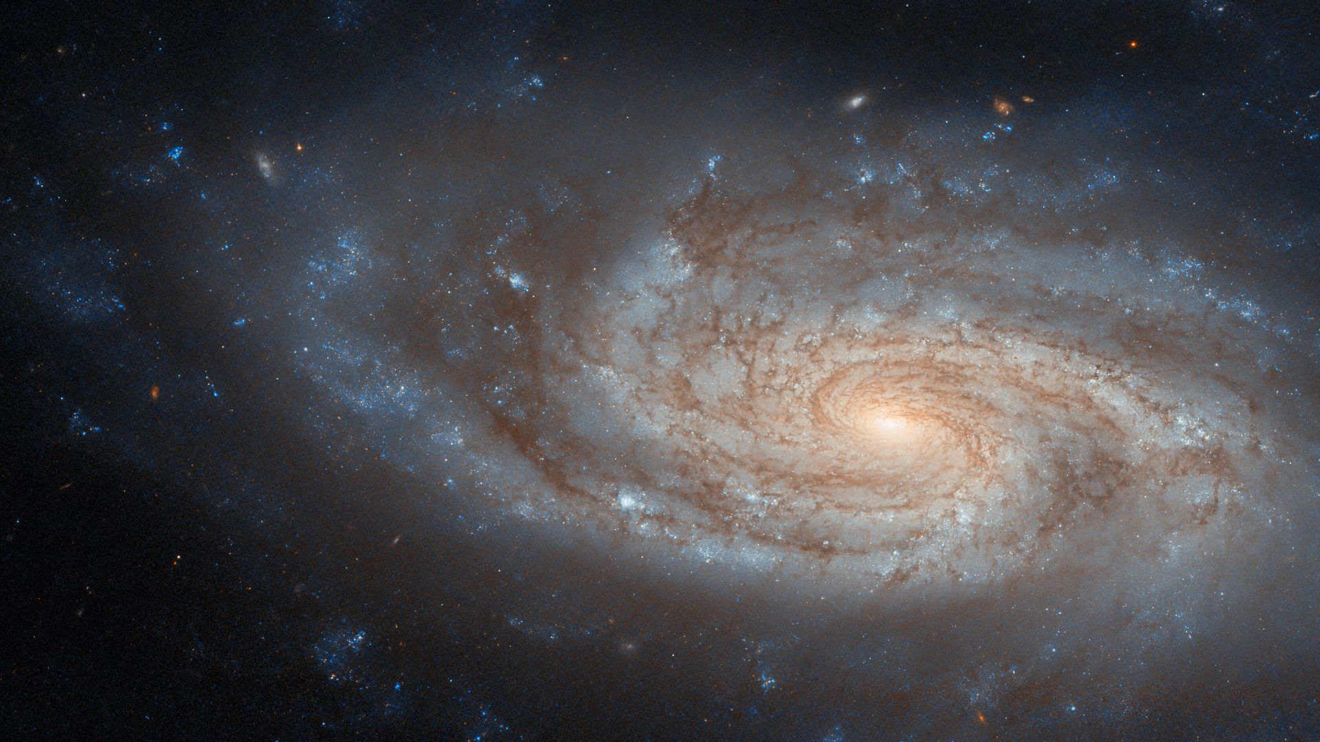 File:An island universe (potw2430a).jpg