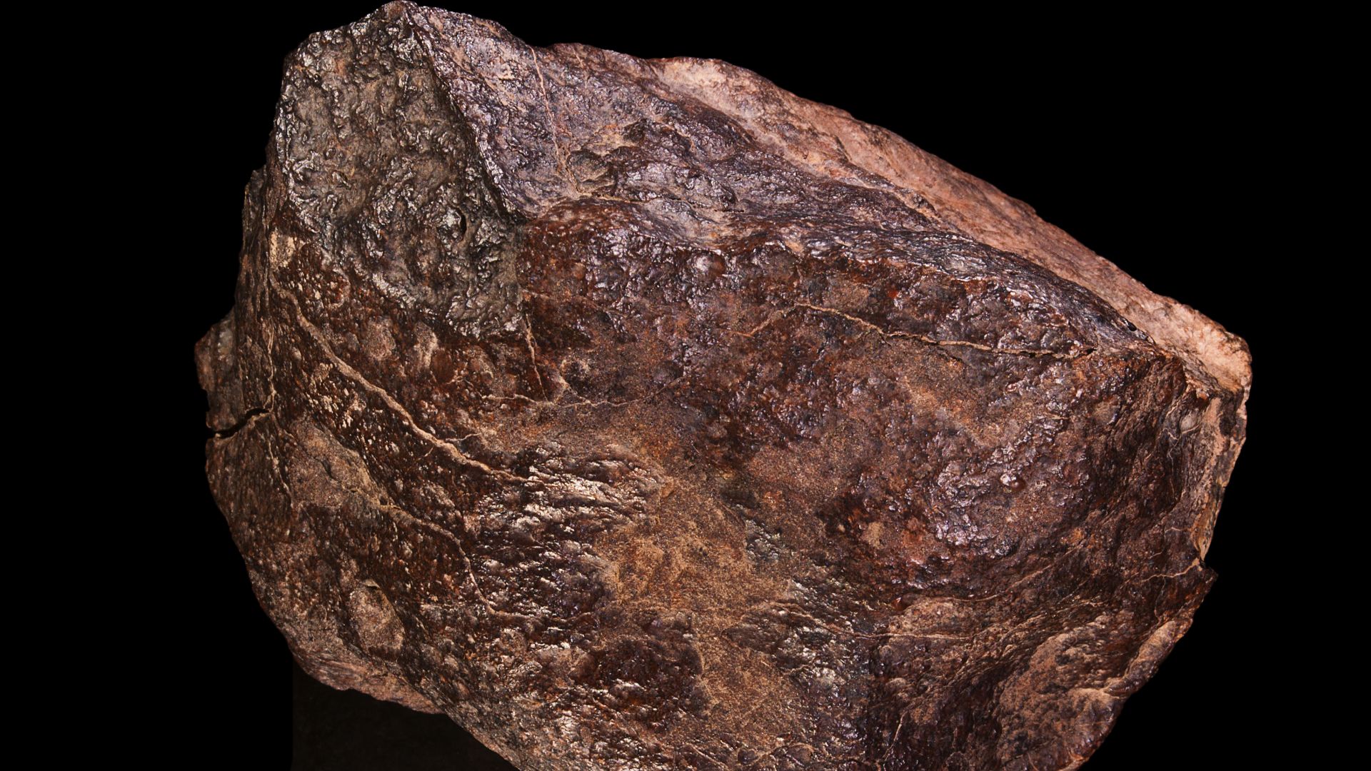 File:Chondrite H5.JPG