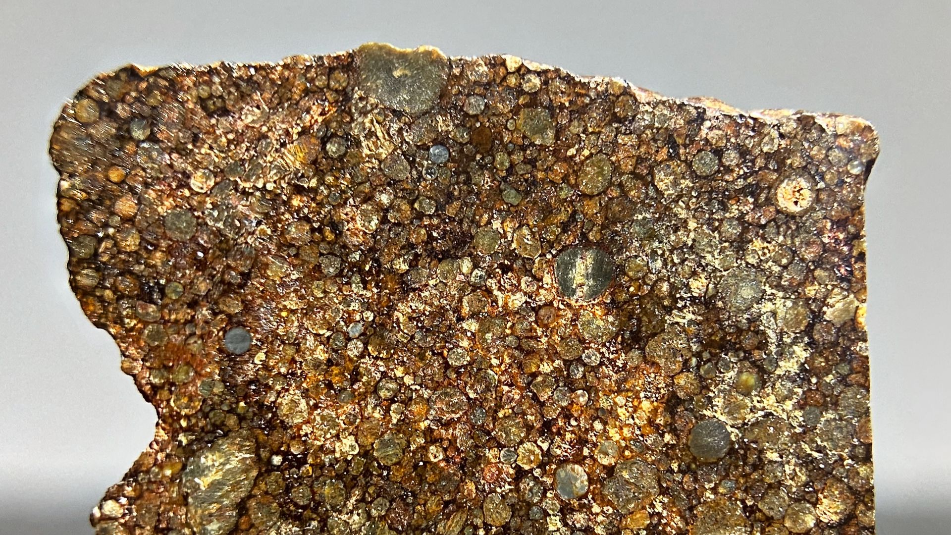 File:10499 - Detailed Slice.png