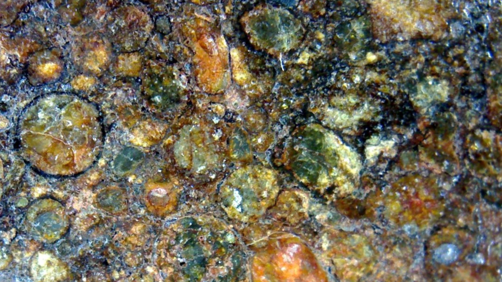 File:Microscopic photo of a meteorite slice.jpg