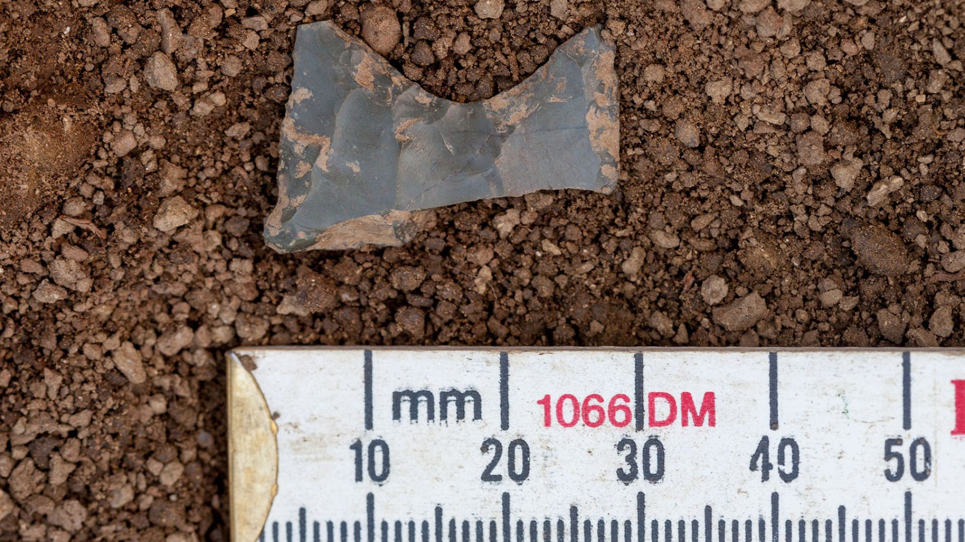 File:Base of a fluted point (50925906948).jpg