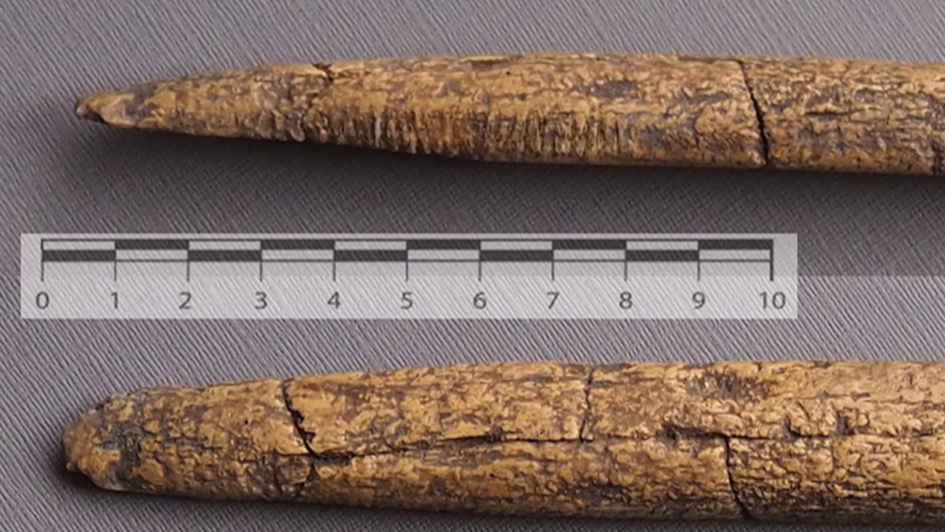 File:Clovis beveled rod replica.png