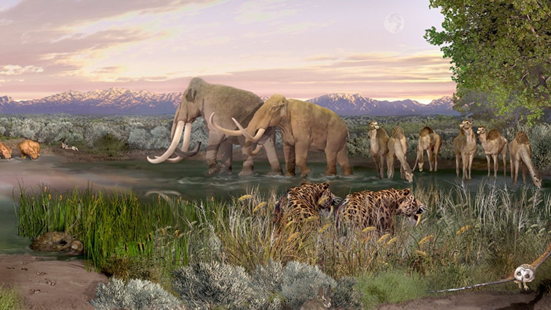 File:Paleontological landscape painting, White Sands National Park, United States.jpg