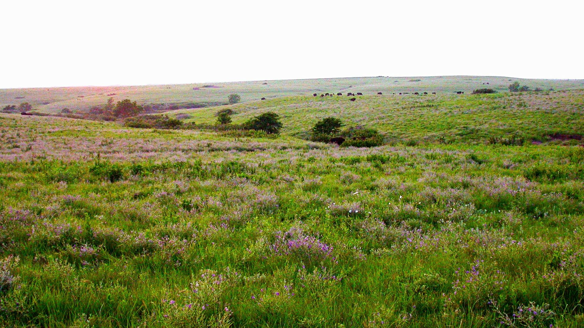 File:Great Plains LCC (14285769265).jpg