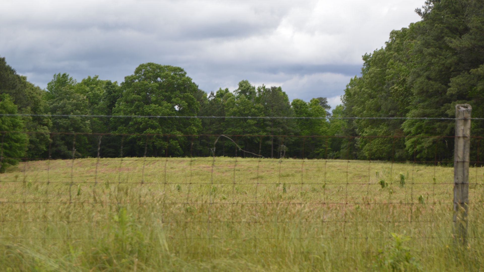 File:Williamson Site from the south.jpg