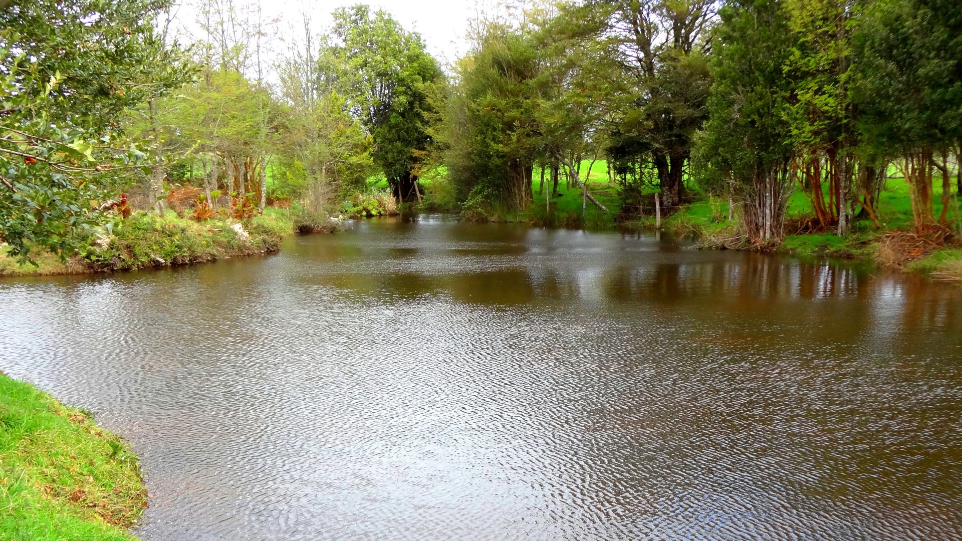 File:Monte Verde 5.JPG