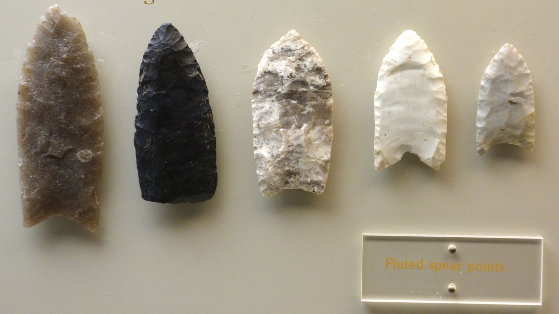 File:Spear tips (fluted), Late Paleo Early Archaic Indians, 8000-6000 BC, stone - Wisconsin Historical Museum - DSC03426.JPG