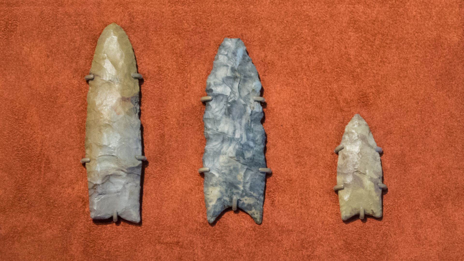 File:Clovis spearpoints collected in 1807 at the Cleveland Museum of Natural History in 2014.jpg