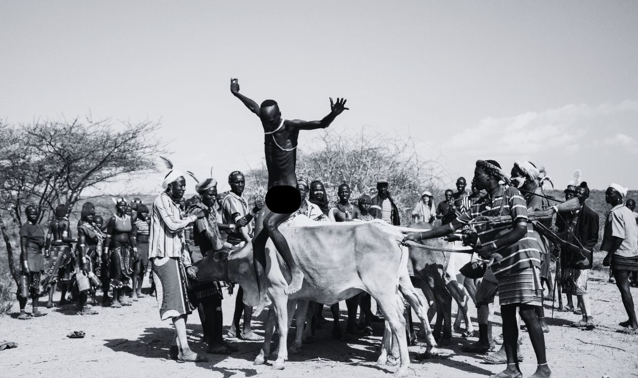 Bull Jumping Ceremony Of The Hamer Tribe