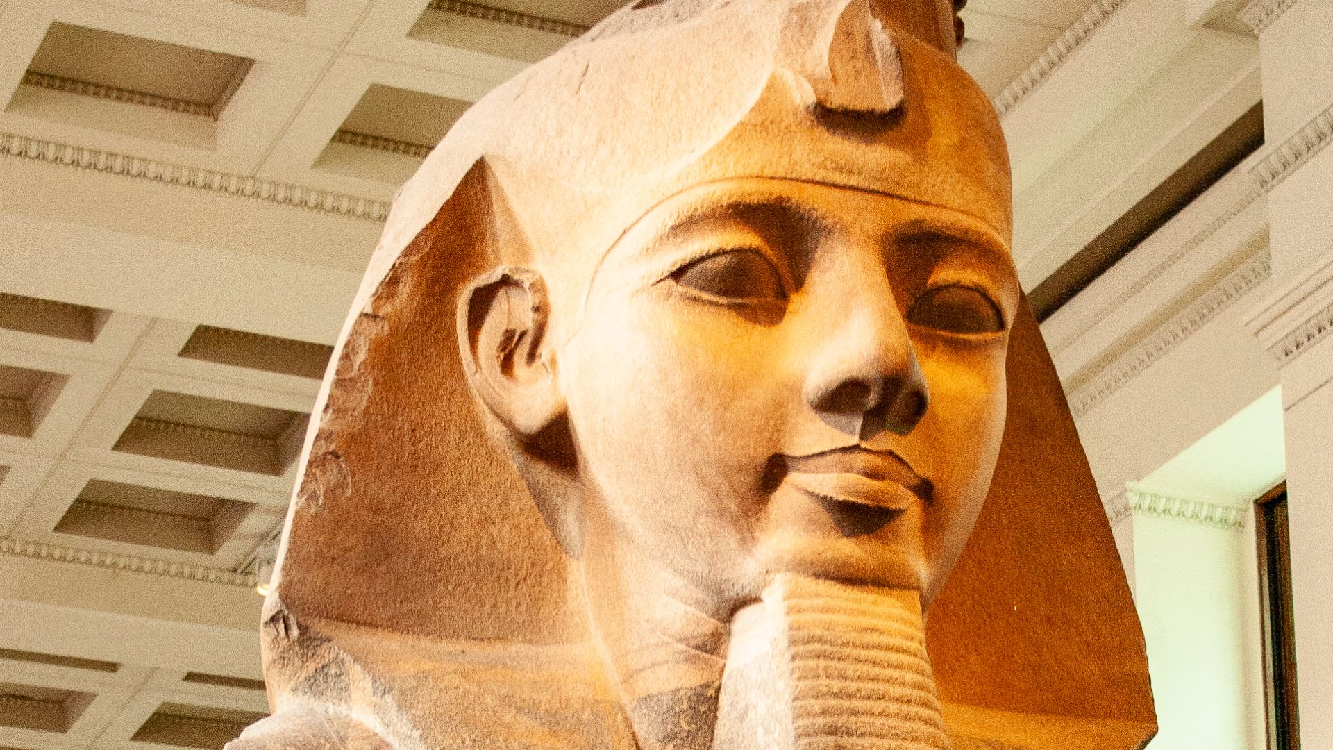 File:Colossal bust of Ramesses II in the British Museum.jpg