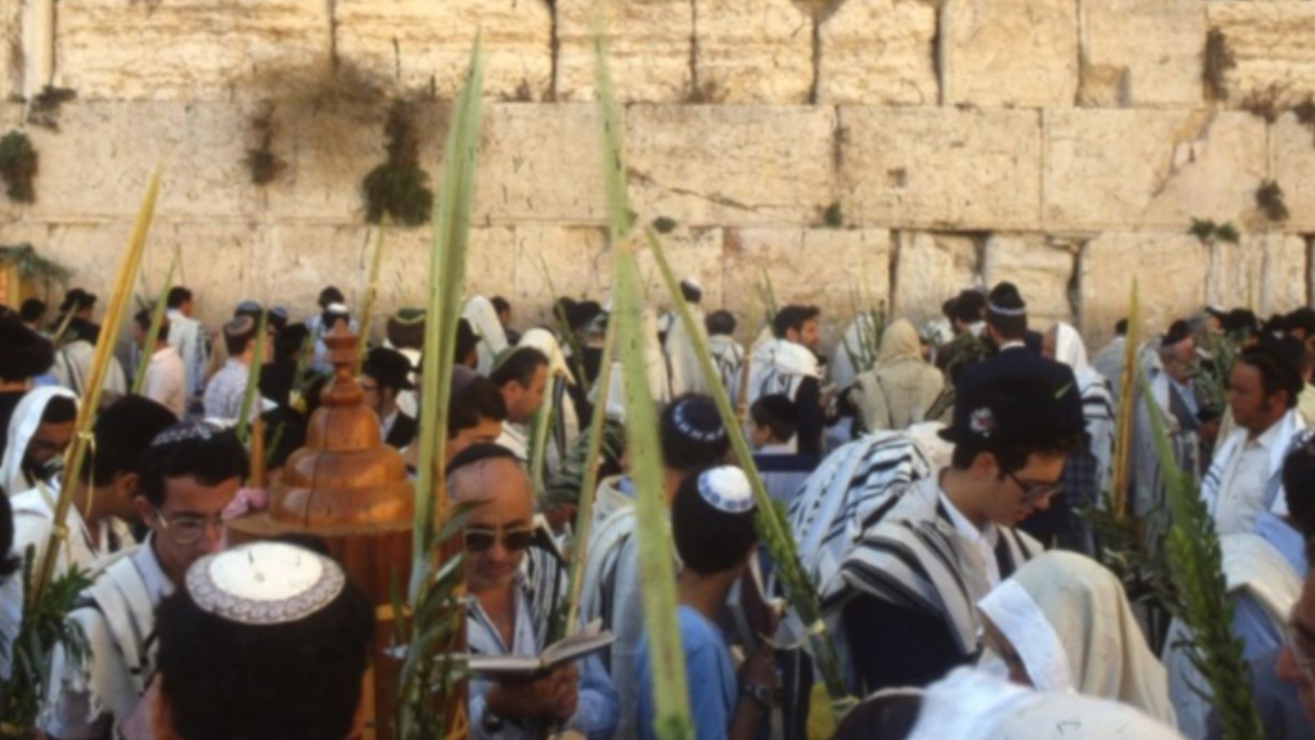 File:PikiWiki Israel 14882 Western Wall in Jerusalem.jpg