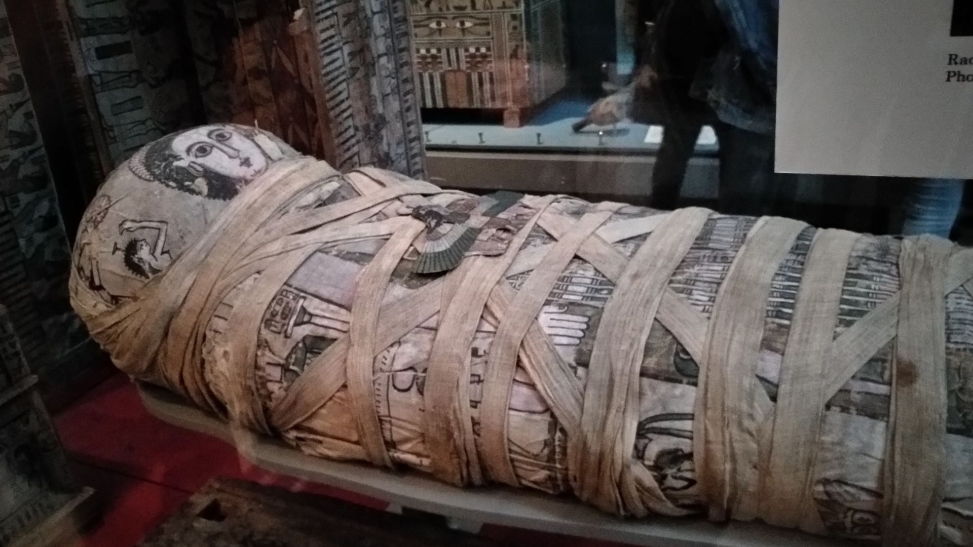 File:20191103 Cleopatra Mummy.jpg