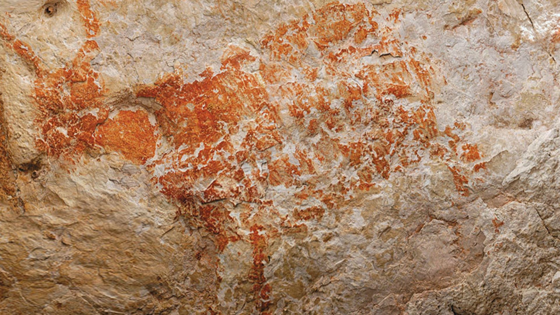 File:Lubang Jeriji Saléh cave painting of Bull.jpg