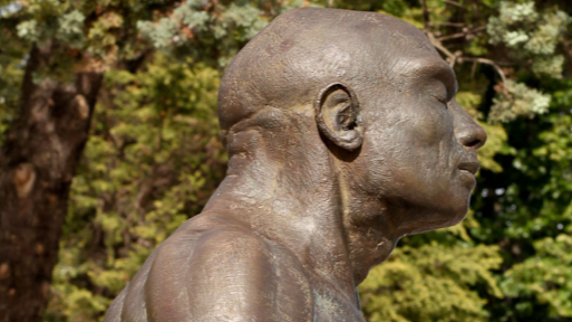 File:Homo antecessor statue.jpg