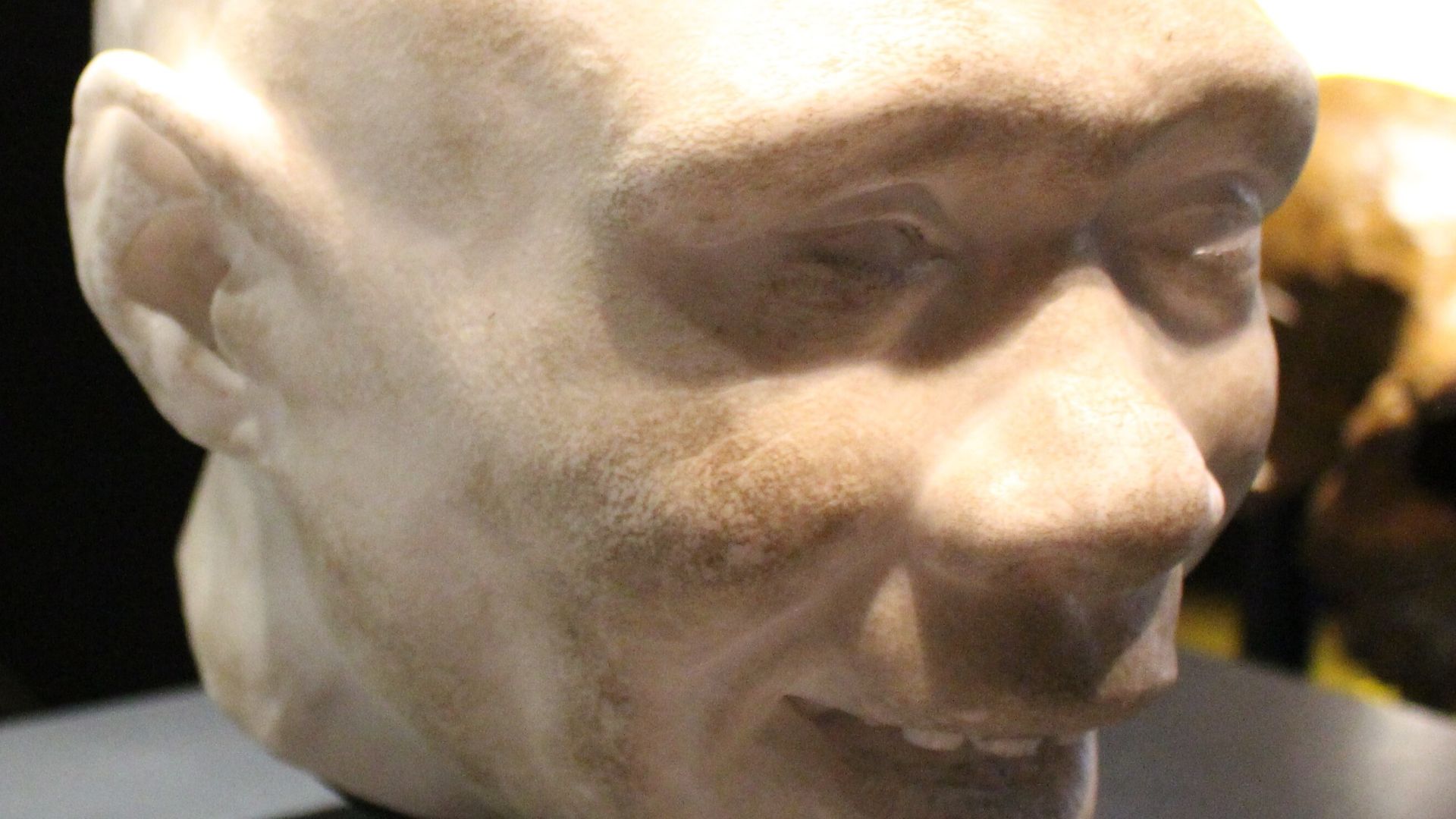 File:Em - Homo antecessor child model - 2 (cropped).jpg