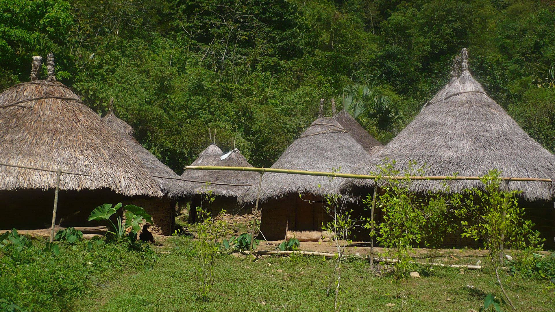 File:Kogui village.JPG