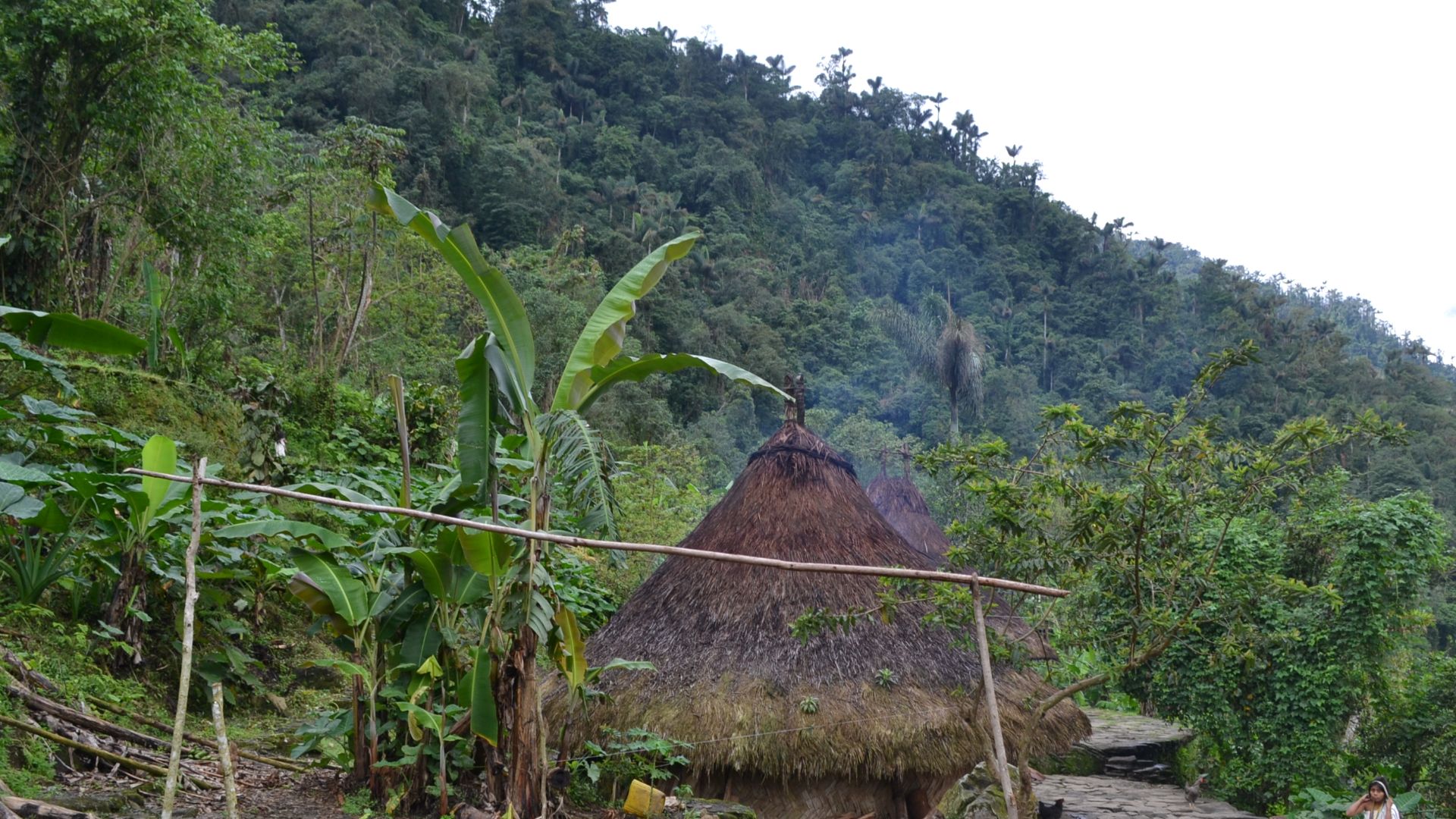 File:Vivienda indígena en la Sierra Nevada de Santa Marta.jpg