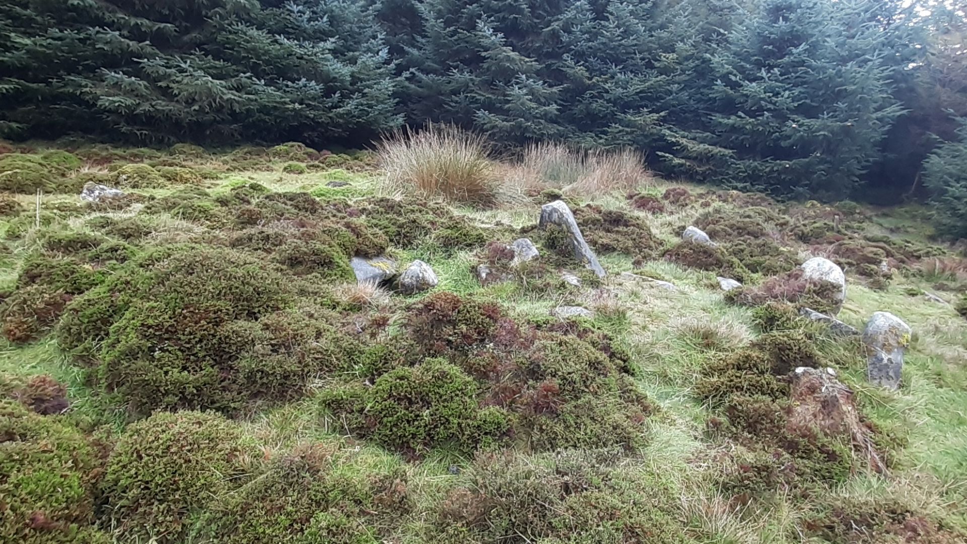 File:Lugnagun passage grave, County Wicklow, Ireland in October 02.jpg