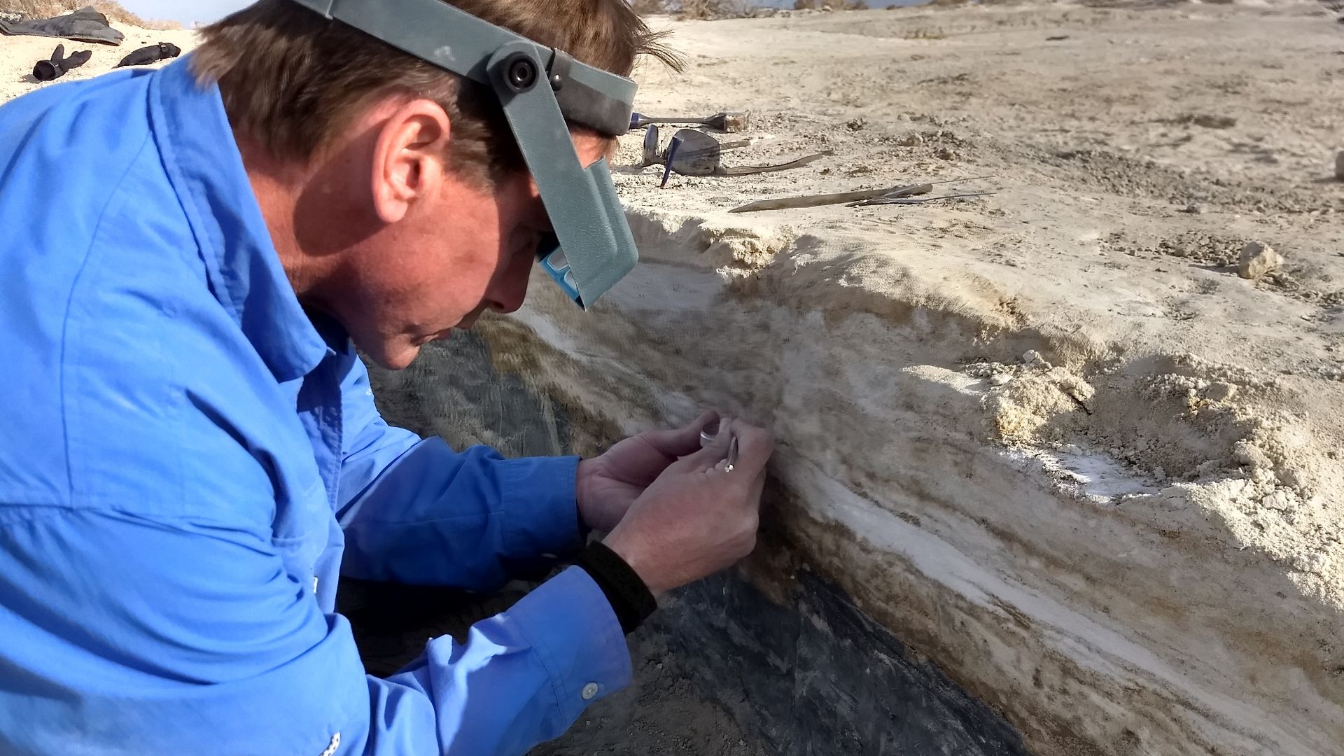 File:Examining the Seed Layers (7c814cea-b382-49c5-9a69-f6497ba6cc92).jpg