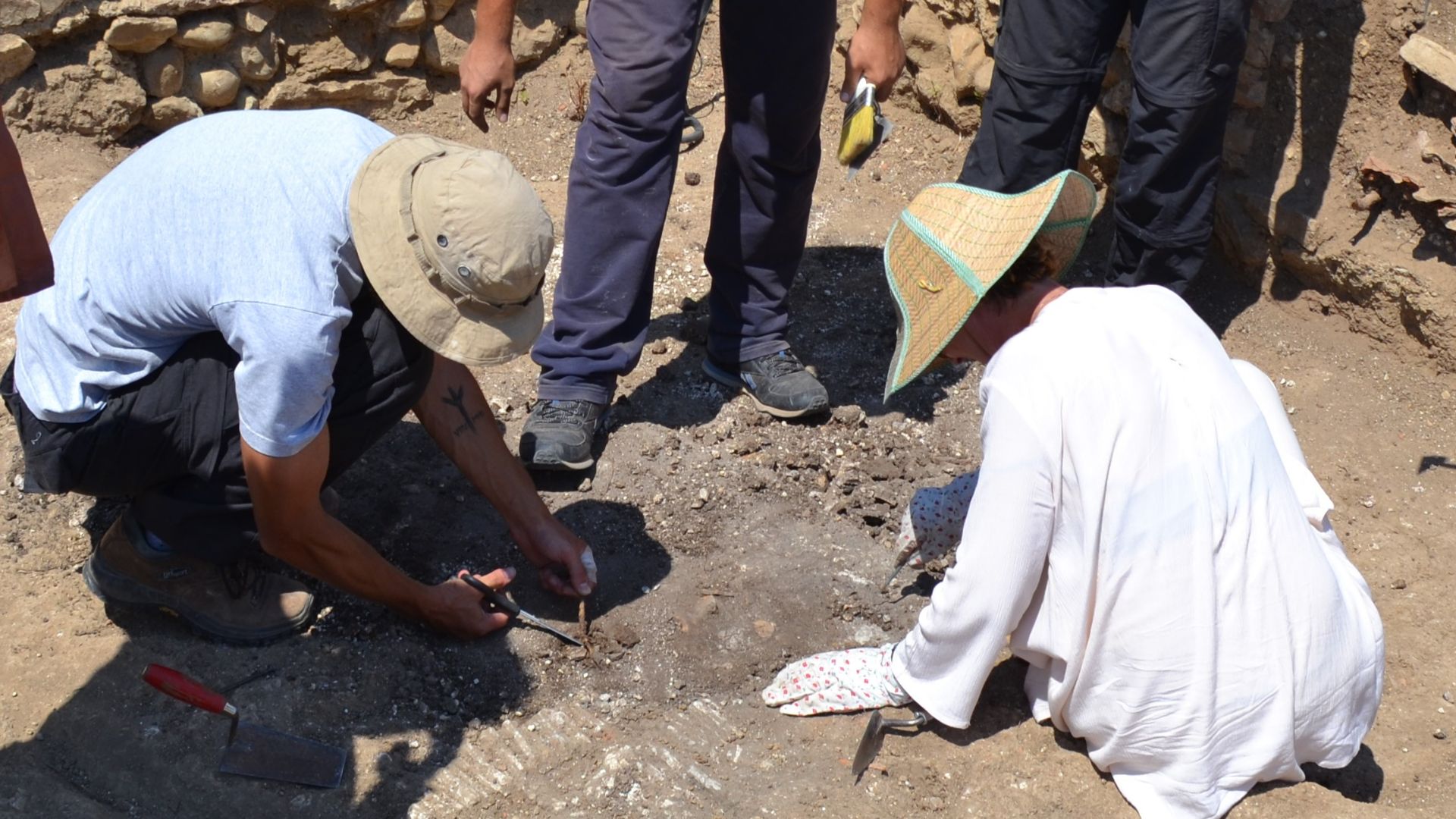 File:Systematic excavation.jpg