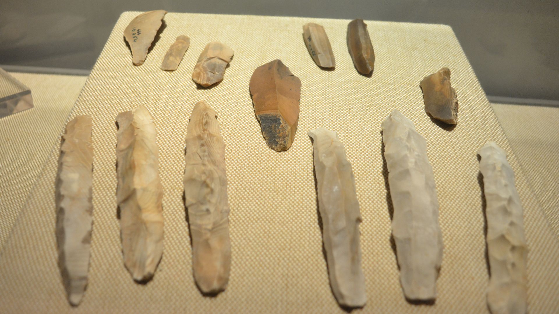 File:Mehargarh Chert Blades.JPG